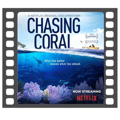 Chasing Coral